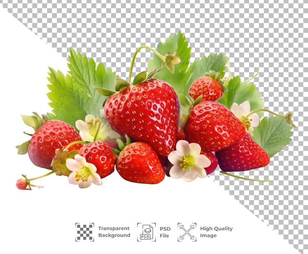 PSD Isolated Strawberry