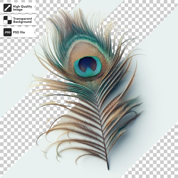 PSD peacock feather on transparent background with editable mask layer