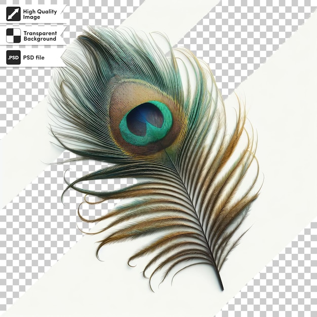 PSD peacock feather on transparent background with editable mask layer