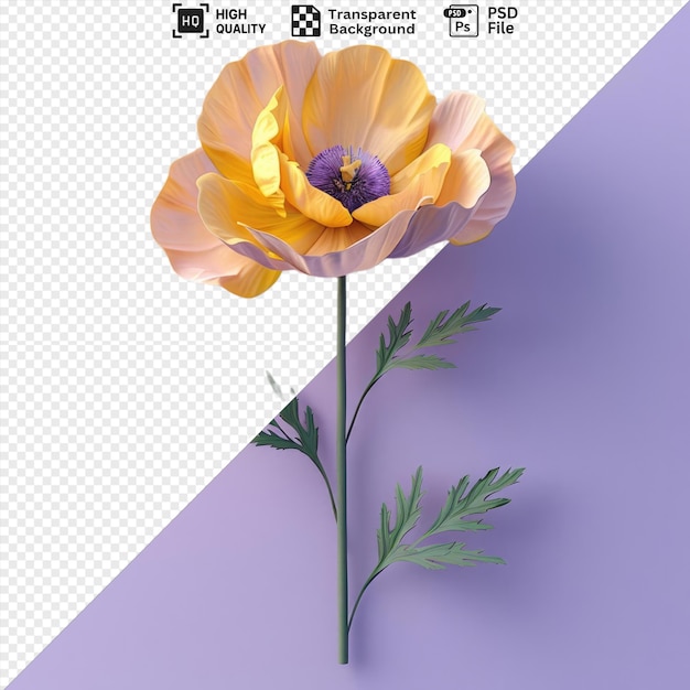 psd picture buttercup flower with yellow petals and green leaves on a purple background png psd