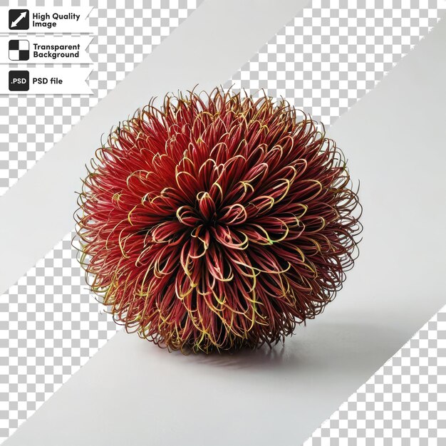 PSD Red Durian Seeds Durian Marangang on transparent background with editable mask layer