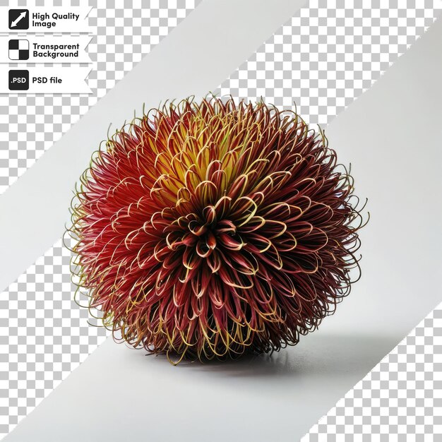 PSD Red Durian Seeds Durian Marangang on transparent background with editable mask layer