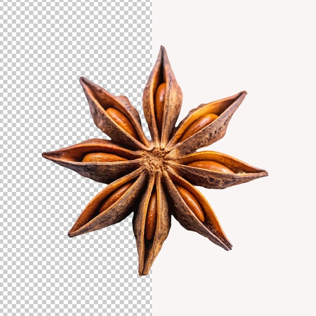 PSD of a star anise on transparent background