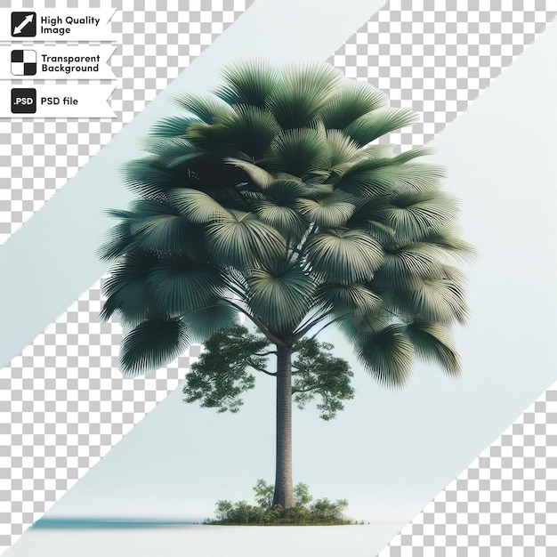 PSD tree isolated on transparent background