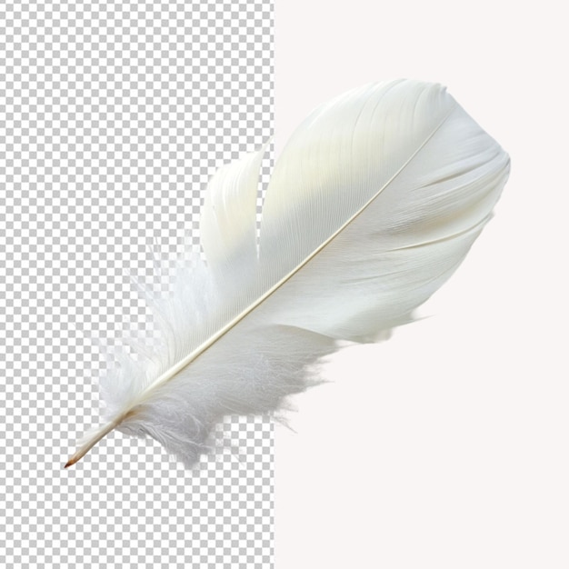 PSD of a white soft feather on transparent background