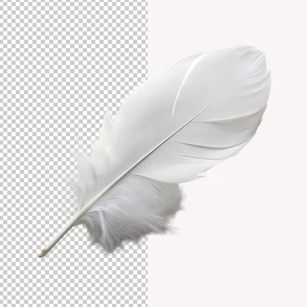 PSD of a white soft feather on transparent background