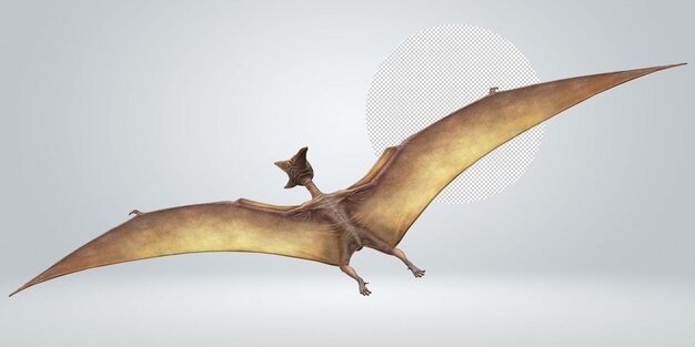 PSD pterodactyls isolated on a transparent background