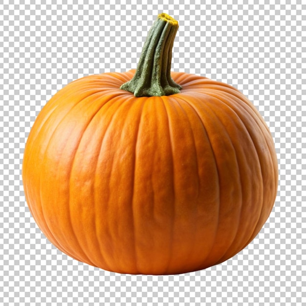 Pumpkin carving on transparent background