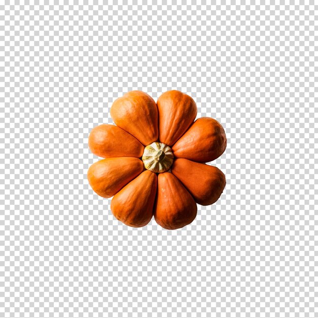 PSD a pumpkin with a flower on it is shown