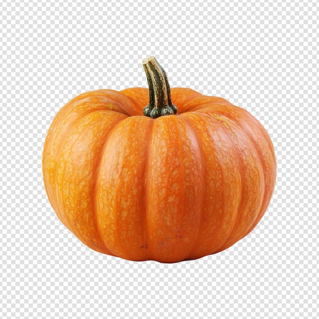 Pumpkins isolated on transparent background cut out