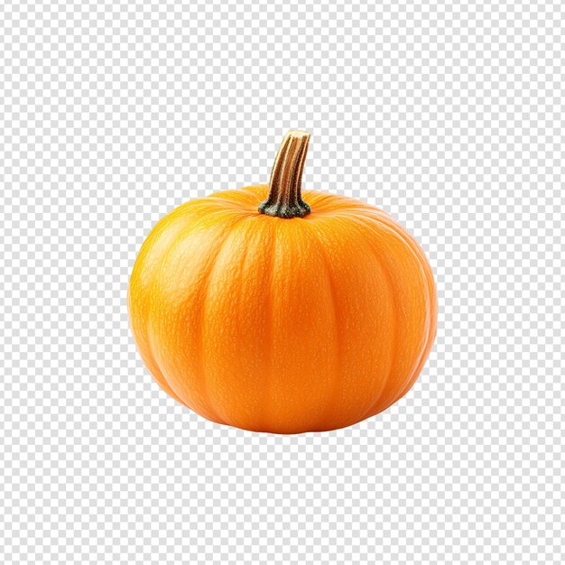 Pumpkins isolated on transparent background cut out