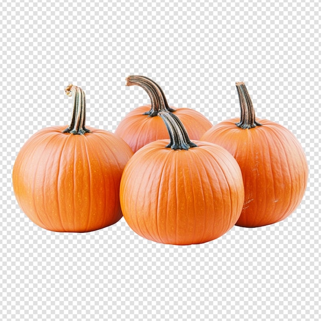 Pumpkins isolated on transparent background cut out