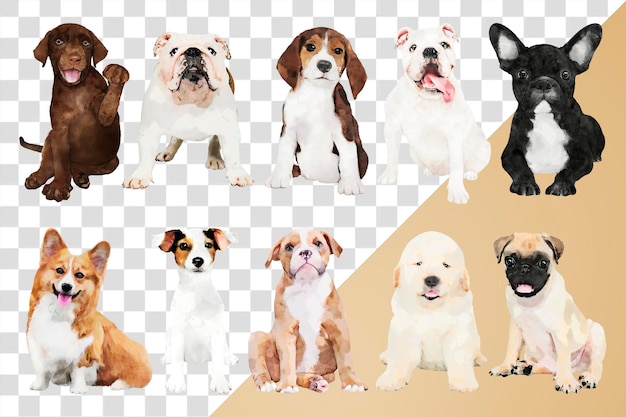 PSD puppy png stickers watercolor illustration set transparent background