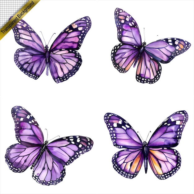 PSD purple butterfly art collection isolated