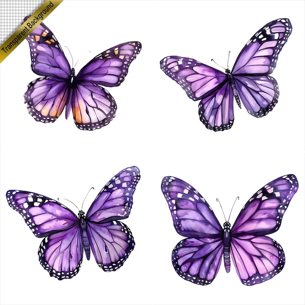 PSD purple butterfly art collection isolated