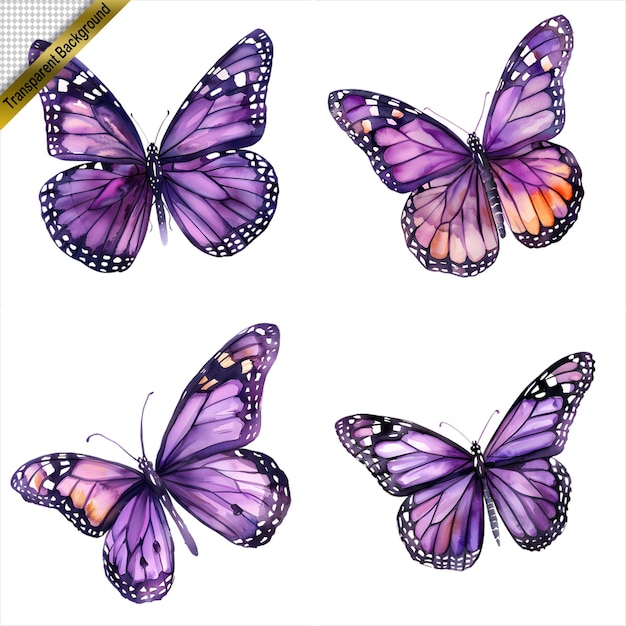 purple Butterfly Art Collection Isolated