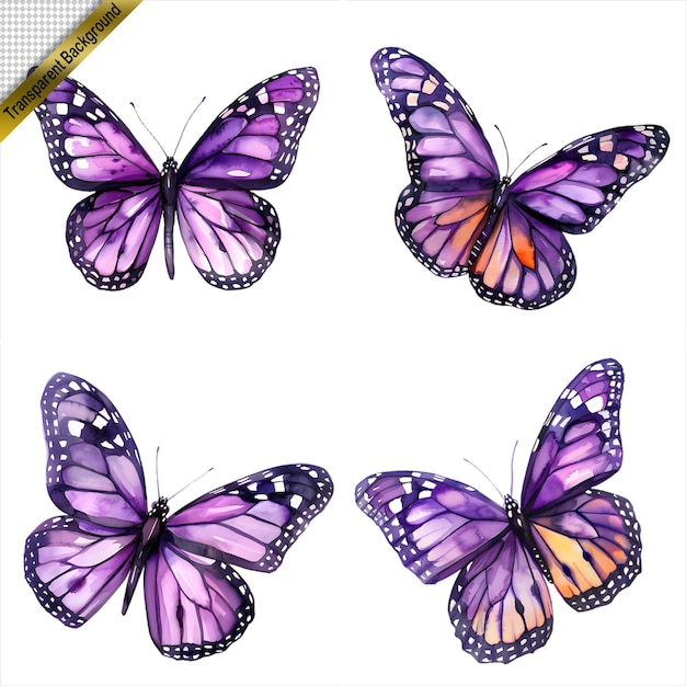 purple Butterfly Art Collection Isolated