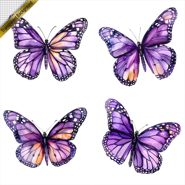 purple Butterfly Art Collection Isolated