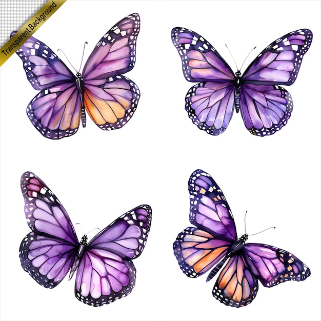 PSD purple butterfly art collection isolated