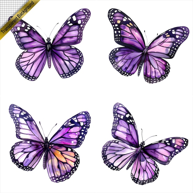 PSD purple butterfly art collection isolated