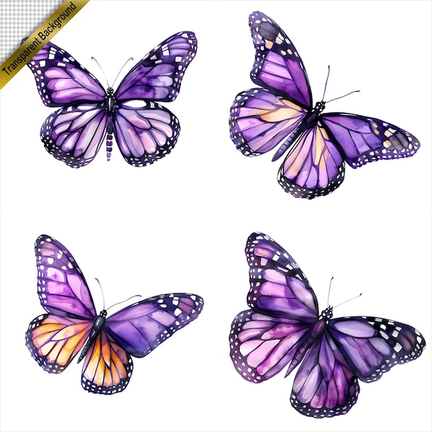 purple Butterfly Art Collection Isolated