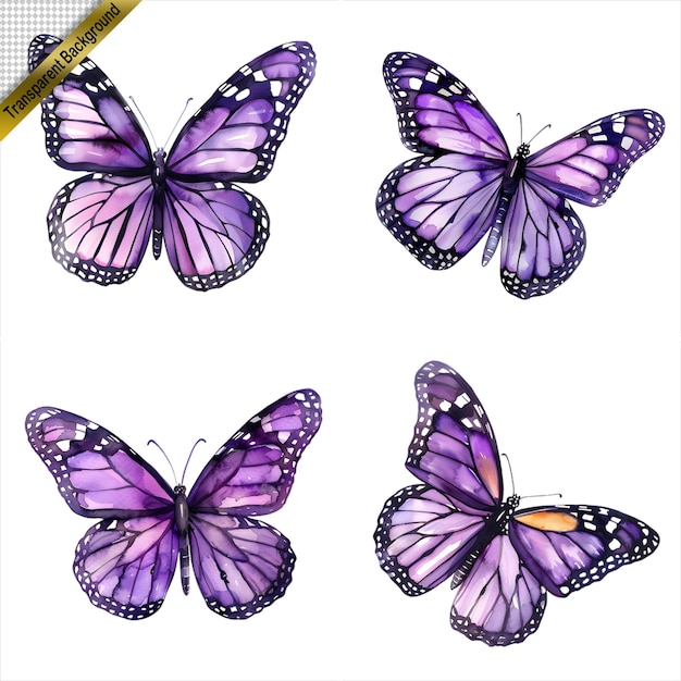 PSD purple butterfly art collection isolated