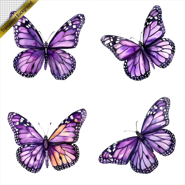 PSD purple butterfly art collection isolated