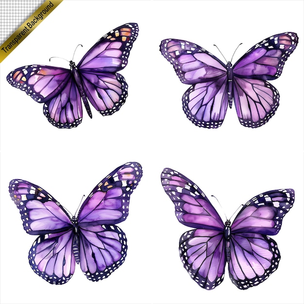 PSD purple butterfly art collection isolated