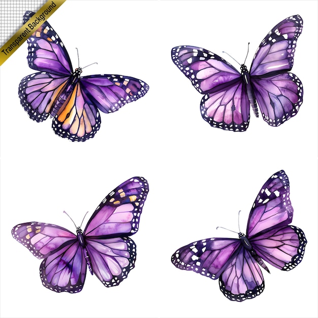 PSD purple butterfly art collection isolated