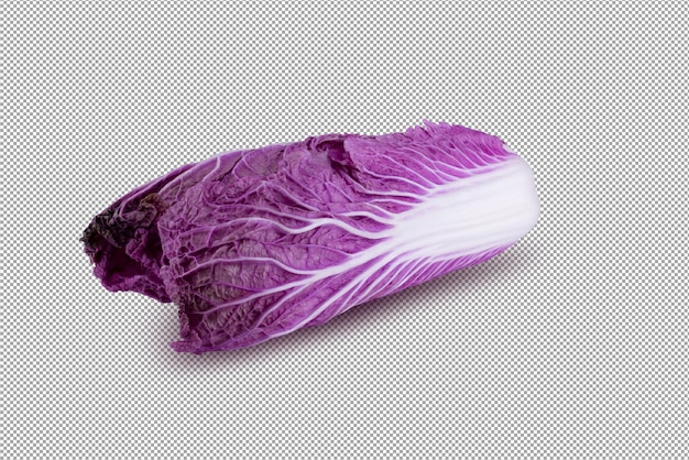 Purple chinese cabbage isolated on alpha background