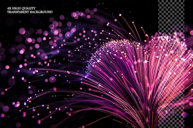 purple fiber optic cables black background fireworks in the on transparent background