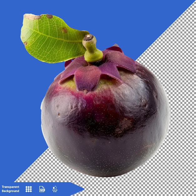 a purple fig with a green leaf on it is shown