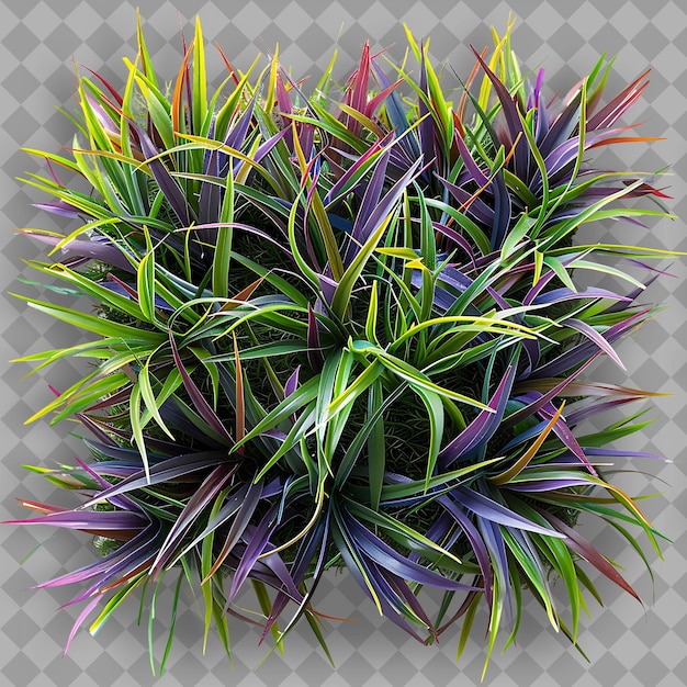 a purple and green plant with purple green and purple flowers