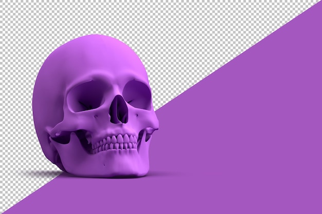 Purple human skull in 3d rendering isolated