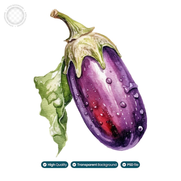 Purple Majesty Watercolor Illustration of Eggplant