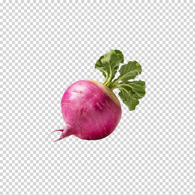 a purple onion with green leaves and a green leaf