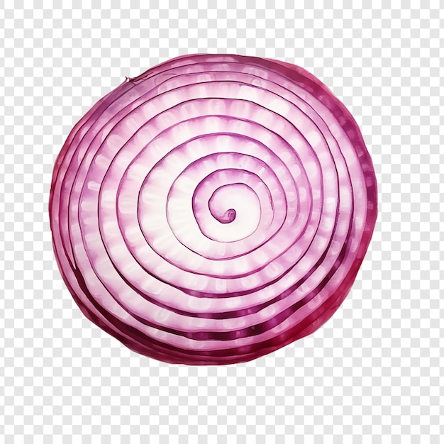 a purple onion with a white strip on it