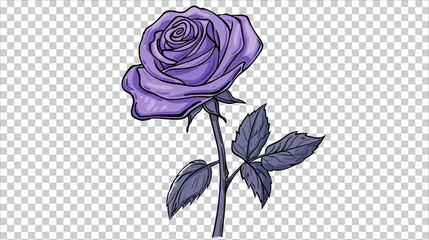 a purple rose with leaves on a transparent background