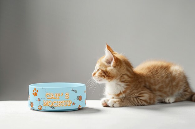 PSD quality cat product mockup