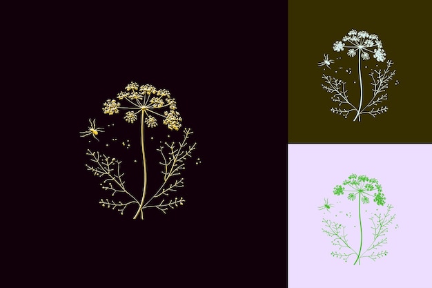 Queen Annes Lace Flower Icon Flower Emblem With Decorative L Inspired Nature Unique Vector Designs