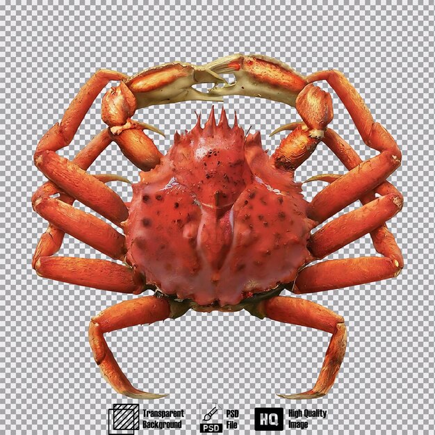 queen crab on transparent background highly detailed 7