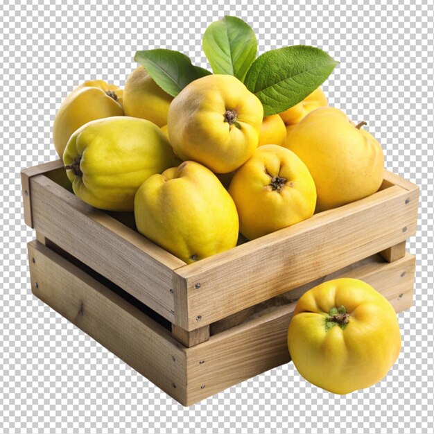 quince on box transparent background