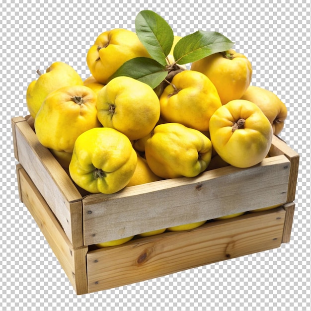 quince on box transparent background