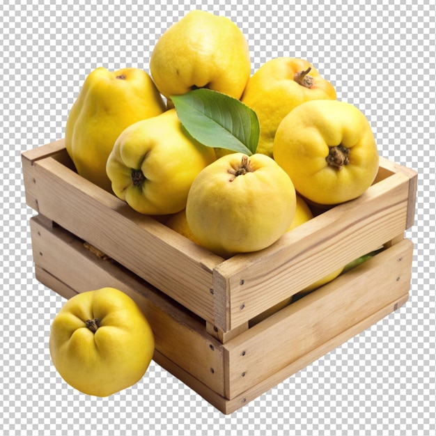 quince on box transparent background