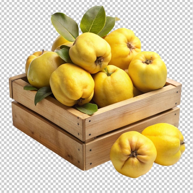 quince on box transparent background