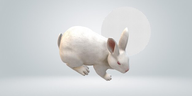 Rabbit isolated on a Transparent Background