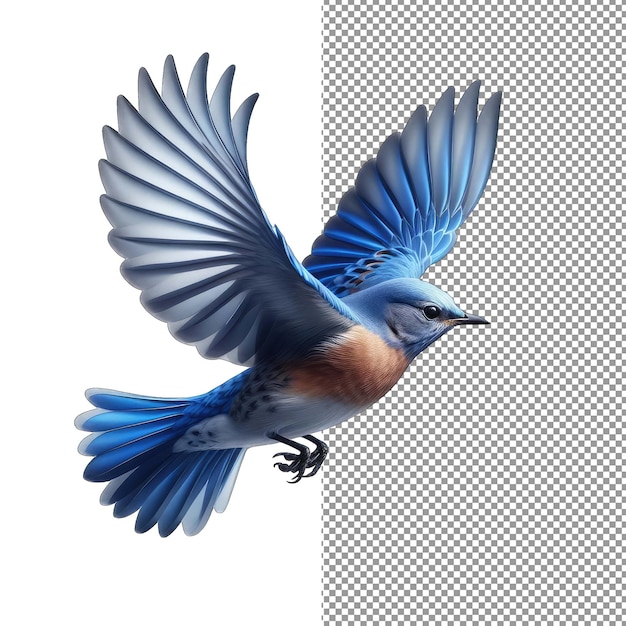 Radiant Soar Isolated Bird Grace on PNG Background