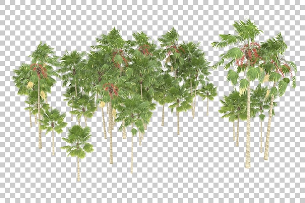 Rain forest on transparent background. 3d rendering - illustration