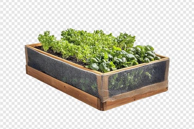 PSD raised garden bed with protective mesh and vegetables isolated on a transparent background