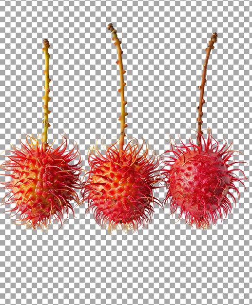 PSD rambutan isolated on transparent background